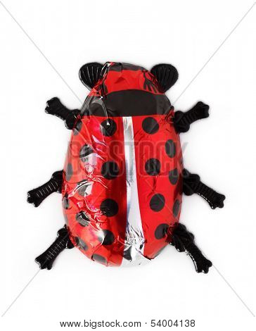 Lady bird praline isolated on white background