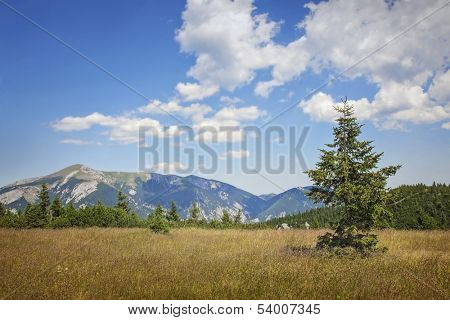 Mountains landscape in  Lower Austria