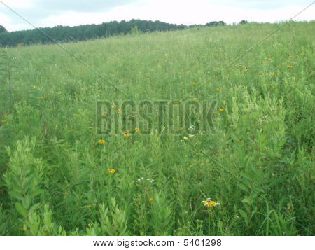 Prairie en PA.