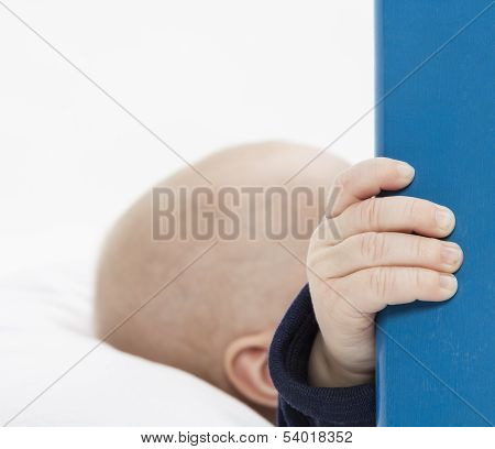 Nurslings Hand Holding Blue Wooden Board