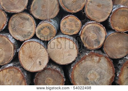 wood