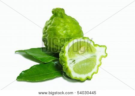 Bergamot