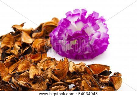 Flower blossom with potpourri