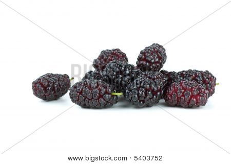 Paar schwarze Maulbeeren