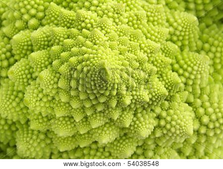 close up of roman broccoli