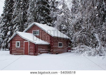 A red cabin in a forest