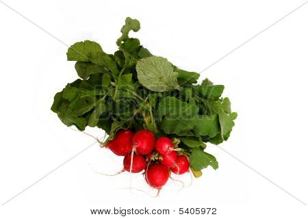 Red_raddish