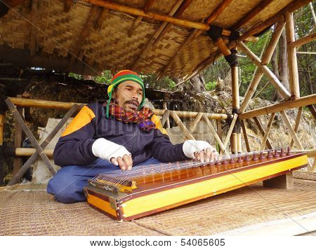 playing a harp