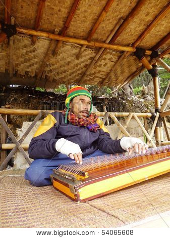 playing a harp
