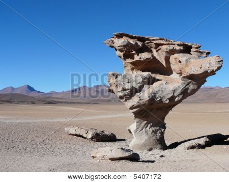 Arbor De Pedra