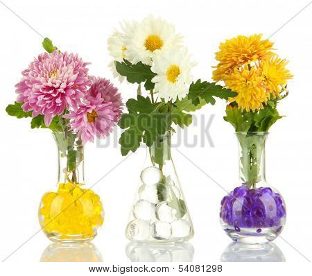 Beautiful flowers in vases with hydrogel isolated on white