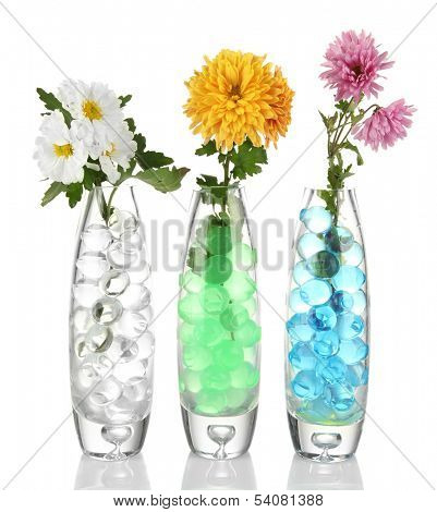 Beautiful flowers in vases with hydrogel isolated on white
