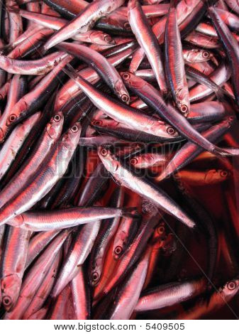 Venta de pescado anchoa