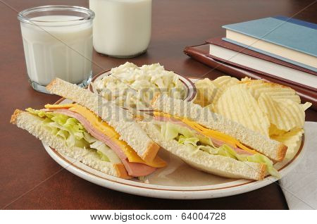 Baloney Sandwich And Coleslaw