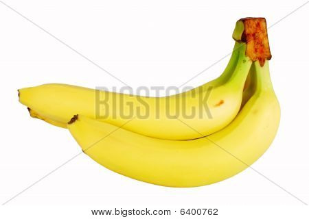 Bunch Of Bananas