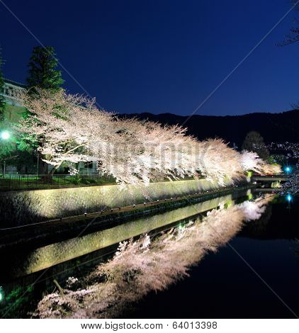 Biwa canal with sakura tree in Kyoto