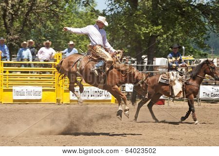 Saddle Bronc