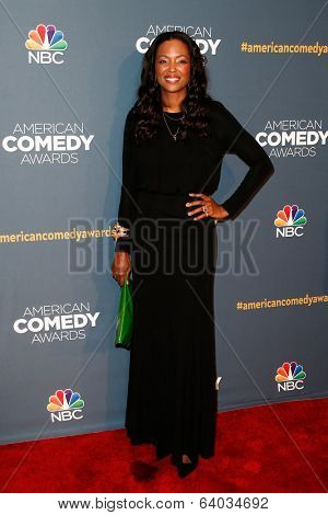 NEW YORK-APR 26: Actress/Comedian Aisha Tyler attends the American Comedy Awards at the Hammerstein Ballroom on April 26, 2014 in New York City.