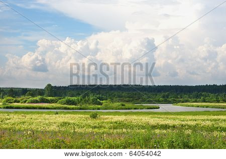 Summer Landscape