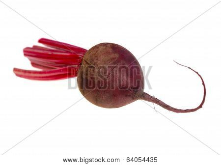 Food  Ingredient Beetroot