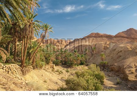 Famous Mountain oasis Chebika in Tunisia, Northern Africa