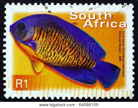 Postage Stamp South Africa 2000 Coral Beauty, Marine Fish