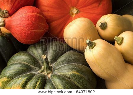 Pumpkins