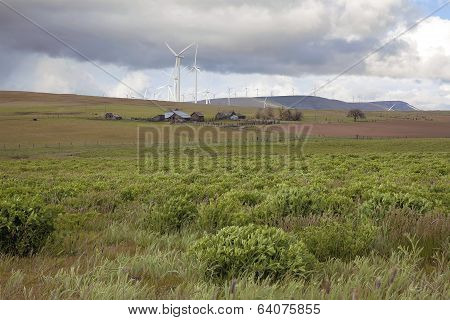 Farmland With Wind Turbines