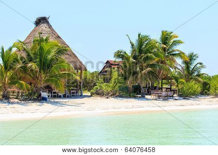 Tropical Paradise