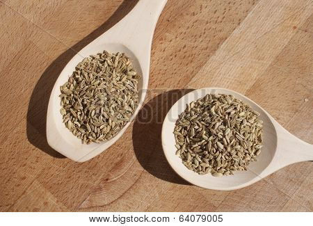 Fennel