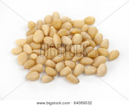 Pine Nuts