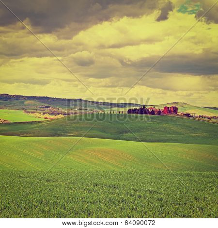 Fields