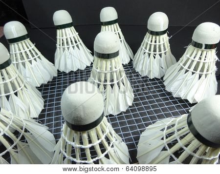 shuttlecocks on a badminton racket