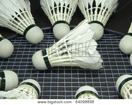shuttlecocks on a badminton racket