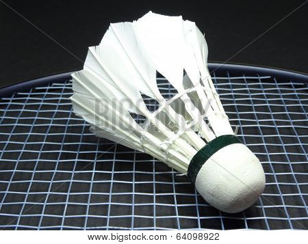 shuttlecock