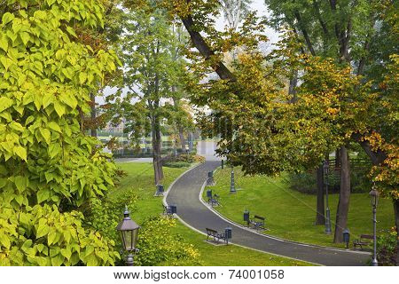 Path in a park on a foggy autumn day