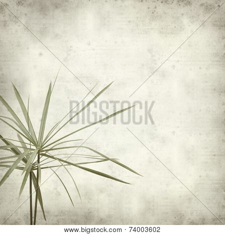 Textured Old Paper Background