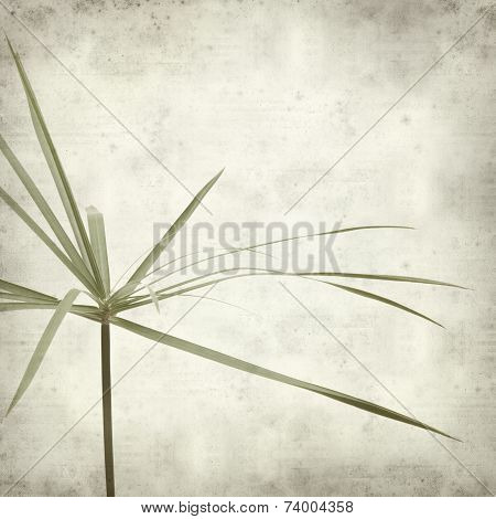 Textured Old Paper Background