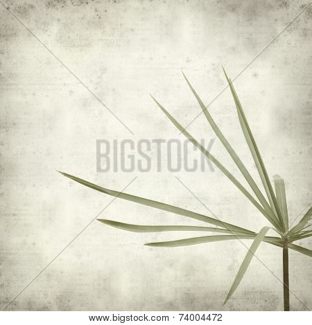 Textured Old Paper Background