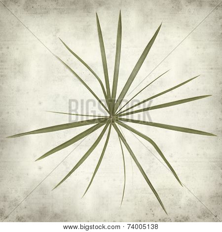 Textured Old Paper Background