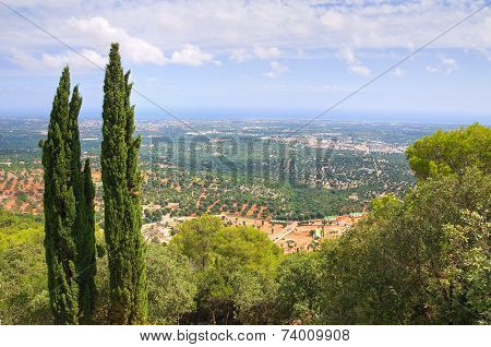Panoramic view of Fasano. Puglia. Italy.