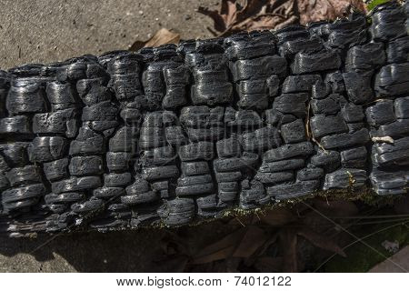 burnt 2x4