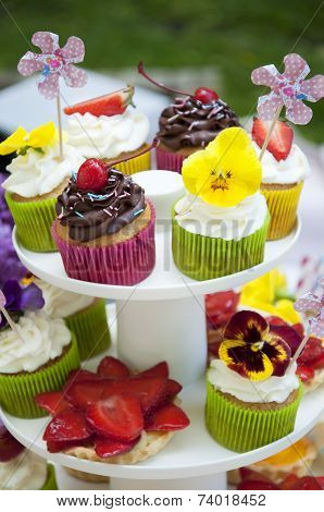 Multicolored Summer Cupcakes