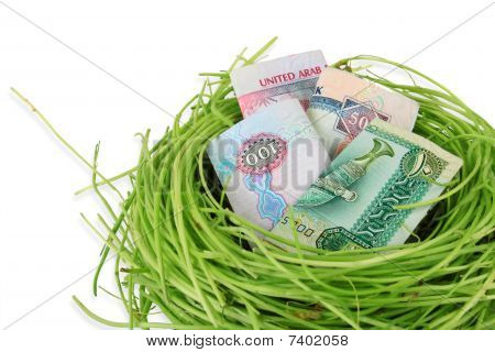 Peníze UAE Dirhams v hnízdě