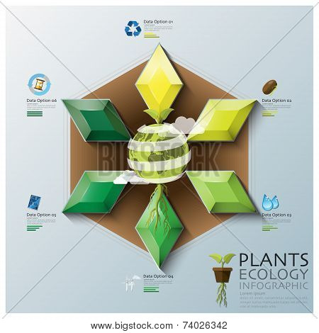 Leaf Shape Three Dimension Polygon Ecology And Environment Infographic