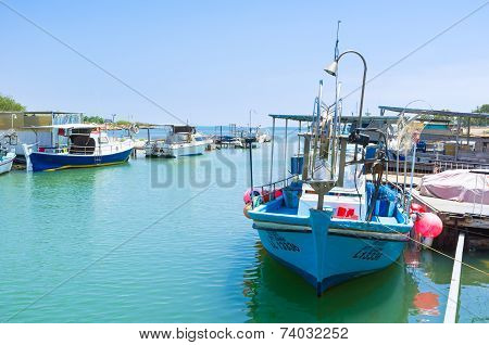The Moored Boats