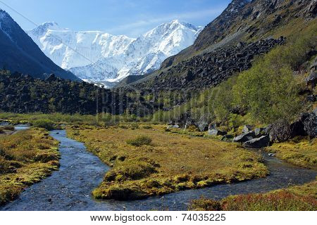 Mountain Altai. The river Akkem, a kind on the White whale