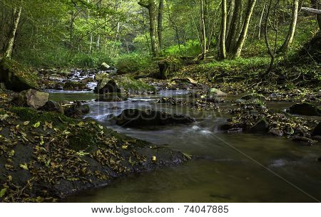 Autum river