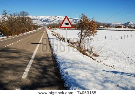 Road