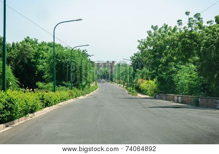 Treelined Path Of Rajasthan, India